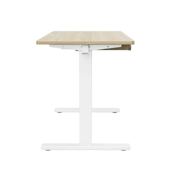 HUANUO 48" x 24" Electric Standing Desk – Adjustable Height with Memory Presets, Spacious Storage | AmazPromo