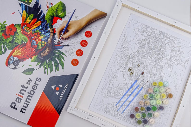 Van Gogh Starry Night Paint by Numbers Kit – 40x50cm Framed Canvas | DIY Painting Set for Adults | AmazPromo