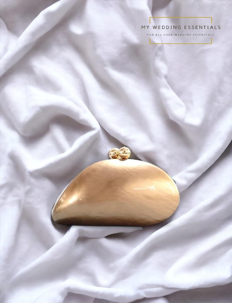 Luxury Shell Clutch Bag | Egg-Shaped Wedding Handbag | Bridal Evening Purse | Elegant Acrylic Clutch | AmazPromo