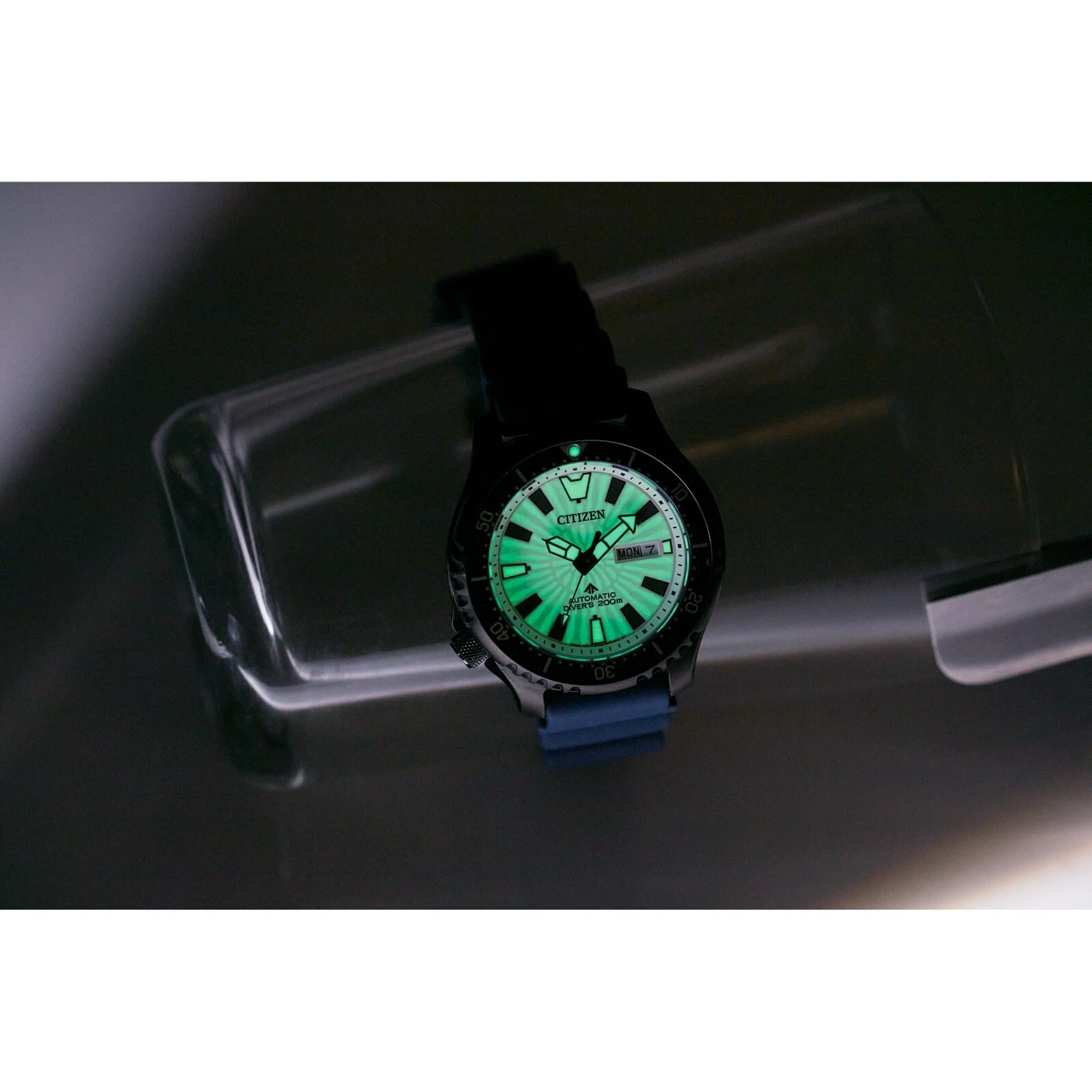 Citizen Promaster Fugu NY0137-09A Automatic Diver’s 200M Watch – Limited Edition White Dial ISO-Cert | AmazPromo