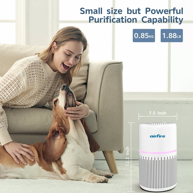 DR. J Professional HEPA Air Purifier for Large Rooms up to 1300 Sq Ft – High-Efficiency Air Cleaner extra image