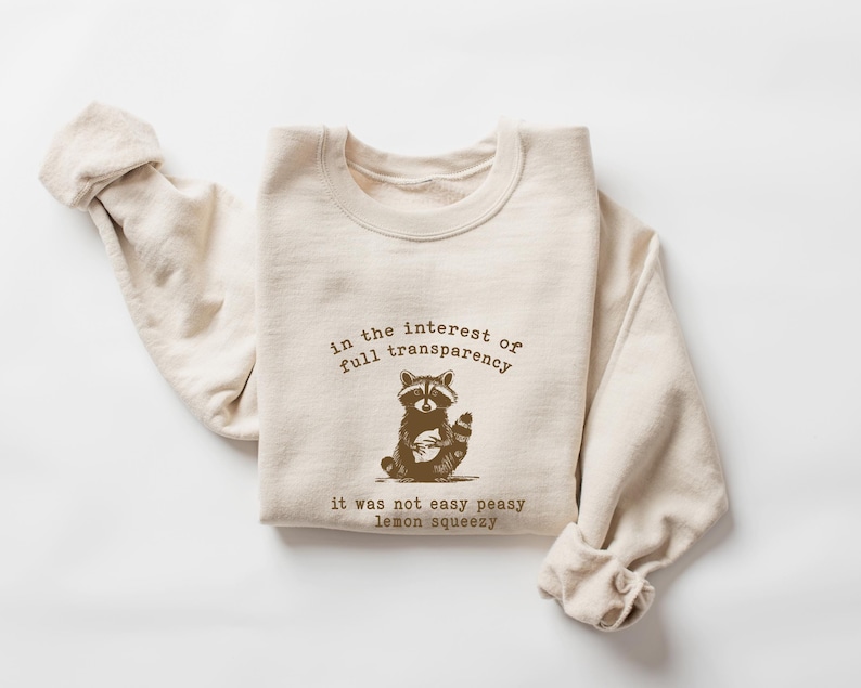 In the Interest of Full Transparency Sweatshirt – Funny Raccoon Retro 90s Hoodie, Sarcastic Graphic | AmazPromo
