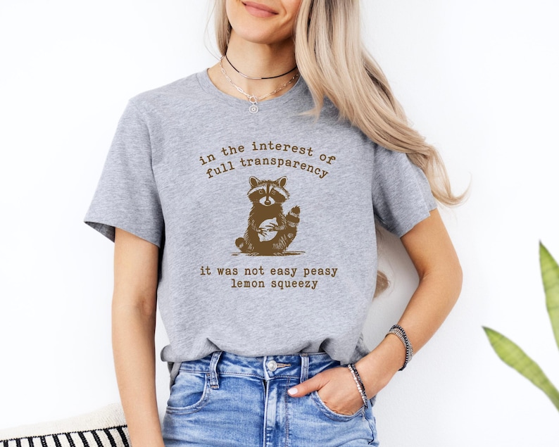 In the Interest of Full Transparency Sweatshirt – Funny Raccoon Retro 90s Hoodie, Sarcastic Graphic extra image