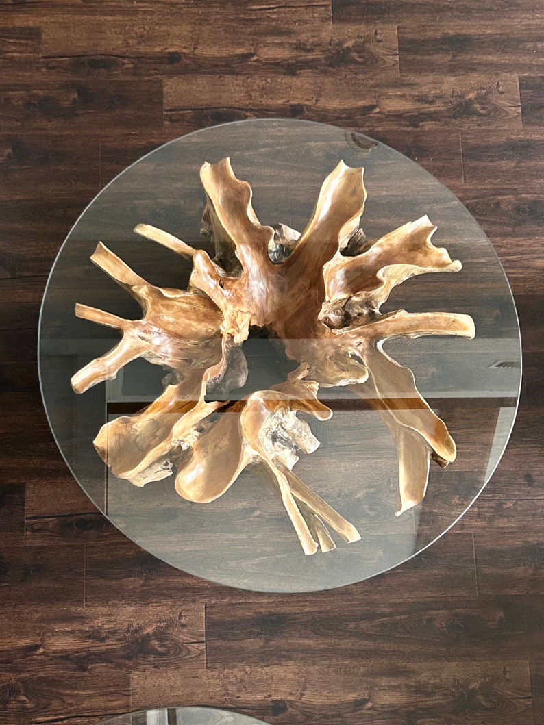 Teak Root Coffee Table with Round Glass Top | Rustic Live Edge Wood Coffee Table | Handmade Natural | AmazPromo