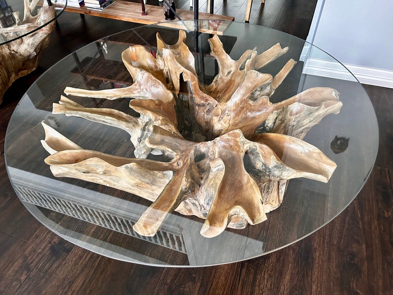 Teak Root Coffee Table with Round Glass Top | Rustic Live Edge Wood Coffee Table | Handmade Natural | AmazPromo