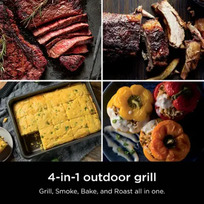 Ninja Woodfire Outdoor Grill & Smoker – 4-in-1 Electric BBQ Grill with Real Woodfire Flavor, Smoker | AmazPromo