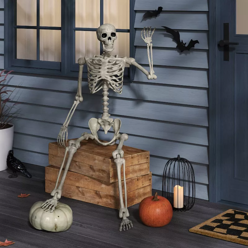 60 Poseable Skeleton Halloween Decoration  Life-Size Flexible Bone Prop Indoor Outdoor Haunted | AmazPromo